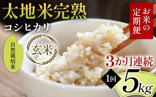 お米の定期便 自然栽培米 太地米完熟 【こしひかり】 玄米5kg×3か月連続 ブランド米 お米 人気 F7X-0448