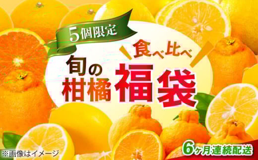 【全6回定期便】江田島市から旬の柑橘類をお届け！お楽しみ福袋 みかん フルーツ 果物 数量限定 期間限定 江田島市/江田島市観光協会 [XAI009] 2089525 - 広島県江田島市