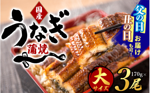 父の日 土用の丑の日 [発送時期が選べる][大型サイズ]ふっくら柔らか 国産うなぎ蒲焼き 3尾 / うなぎ ウナギ 鰻 うなぎ蒲焼 国産 プレゼント 贈答 父の日 丑の日 [uot303-3-oya]