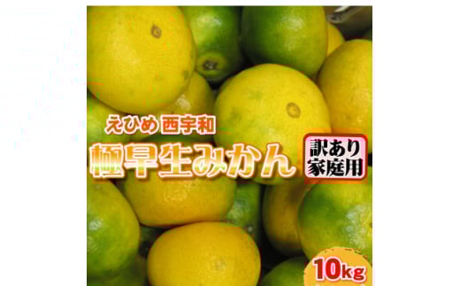 西宇和産極早生みかん訳あり10kg＜C21-39＞【1623770】