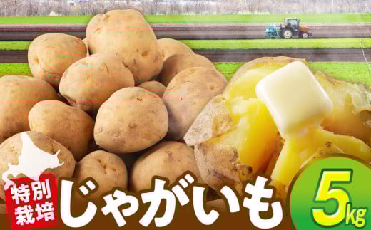 R7年産先行受付 じゃがいも 5kg 特別栽培（男爵） | 北海道津別町