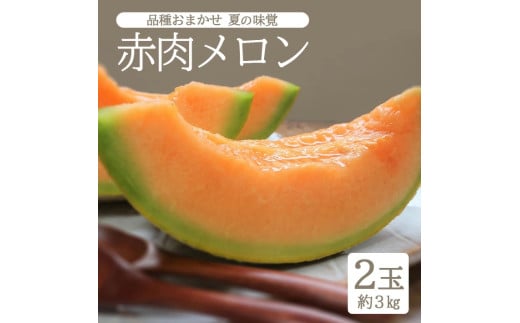 SA2625　庄内砂丘 『品種おまかせ赤肉メロン』　約3kg(2玉入)　　　　　　　　　　　　　　　　　　　　　　　