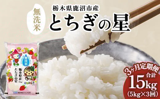 【先行予約】【定期便3ヶ月】令和7年産 栃木県鹿沼市産 とちぎの星 無洗米 5kg | 水稲うるち精米 単一原料米 お米  特A 大粒 ※沖縄・離島への配送不可 ※2025年10月上旬頃より順次発送予定