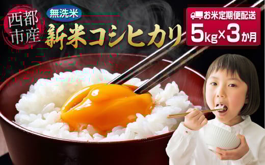 【3ヶ月定期便】宮崎県西都市産産 新米コシヒカリ無洗米 5kg×3 合計15kg 令和7年産 8月～10月発送＜4.9-3＞
