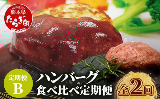 【定期便2回】 人気 ハンバーグ 食べ比べ 定期便 B 自家製豆腐のハンバーグ ／ くまもと黒毛和牛 生ハンバーグ 【合計3kg】 バラエティ 定期便 豆腐 牛肉 肉 熊本県産 092-0025