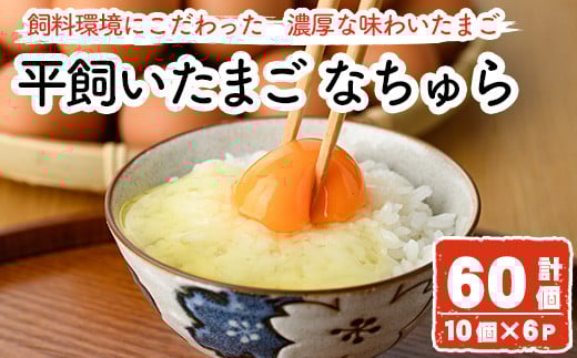 平飼い卵 なちゅら(計60個・10個×6P) 卵 玉子 鶏卵 卵かけご飯 玉子焼き【108800500】【カジワラファーム】