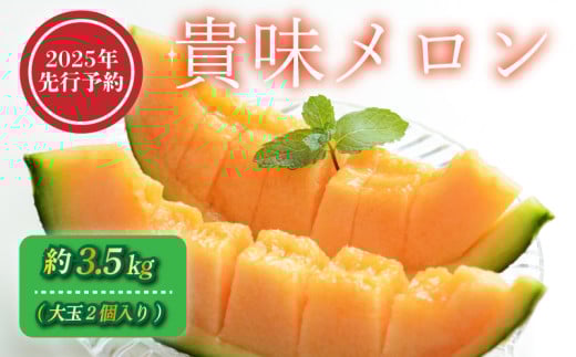【2025年 先行予約 】 貴味 メロン 約3.5kg 赤肉 めろん melon 甘いメロン タカミメロン デザート ジューシー 産地直送 高級 ブランド 美味しい おいしい 糖度 甘い あまい おすすめ 人気 旬 果物 くだもの フルーツ 国産 季節限定 期間限定 数量限定 ギフト 贈り物 贈答 プレゼント 千葉県 旭市 向後メロン園 kug003