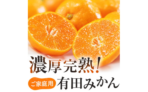 【12月発送】有田育ちのご家庭用完熟 有田みかん 5.5kg＋200g（傷み補償分）【ard196C-12】 2207613 - 和歌山県北山村