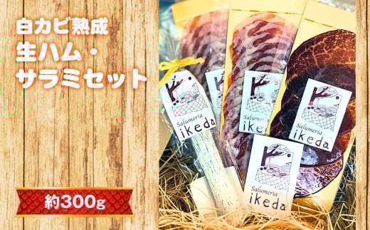 No.442 白カビ熟成　生ハム・サラミセット　約300g ／ 肉 豚肉 生ハム サラミ ソーセージ 白かび 凝縮 旨み 愛知県 1849981 - 愛知県刈谷市