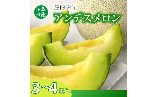 食の都庄内　プロの技！庄内砂丘アンデスメロン　※令和7年7月頃より順次配送予定 2014603 - 山形県三川町