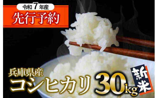 【新米先行予約】コシヒカリ 30kg 白米 令和７年産 (102-1) 米 お米 30kg 米30kg 兵庫県産 こしひかり コシヒカリ 西脇市産 令和7年産 R7年産 2025年産 精米