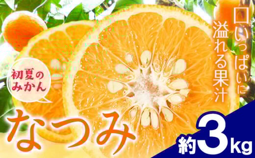 ＜先行予約＞初夏のみかん なつみ 約 3kg 株式会社 魚鶴商店《2026年4中旬-4月下旬頃出荷》 和歌山県 日高川町 みかん なつみ 南津海 柑橘 果物 フルーツ 送料無料