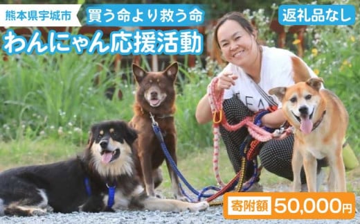 【返礼品なし】 動物支援 動物保護 保護犬 保護猫 犬猫支援 里親支援 寄付 支援 寄附金 愛護活動 ペット 犬 猫 動物 地域支援 買う命より救う命 熊本県 宇城市 わんにゃん応援活動 50,000円