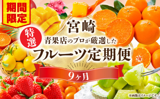 【期間・数量限定】特選！旬のフルーツ9ヶ月定期便vol.1_M348-T002 1432110 - 宮崎県宮崎市
