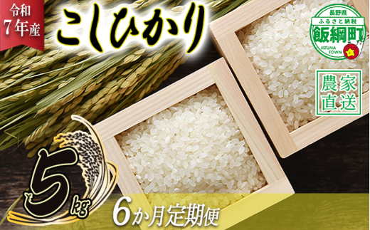 米 こしひかり 5kg × 6回 【 6か月 定期便 】( 令和7年産 ) 沖縄県への配送不可 2025年10月上旬頃から順次発送予定 米澤商店 コシヒカリ 白米 精米 長野県 飯綱町 [1350] 301565 - 長野県飯綱町