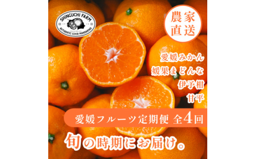 ＜発送月固定定期便＞愛媛の美味しい柑橘 みかん・まどんな・伊予柑・甘平＜H70-40＞全4回【4055156】 1448192 - 愛媛県八幡浜市