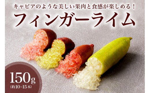 【先行受付】フィンガーライム　150g【 果物 果実 新時代フルーツ 国産 キャビアライム 森のキャビア フルーツキャビア ブッシュキャビア 希少 柑橘 カルパッチョ ローストビーフ アイス カクテル 炭酸 トッピング 】