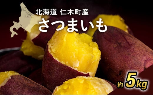 先行受付 北海道 仁木町産 さつまいも 5kg S〜Lサイズ サイズバラバラ 野菜 やさい サツマイモ イモ 仁木町 [嶋田茂農園匠]