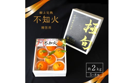 【先行予約】【数量わずか】樹上完熟しらぬい（不知火） 6個~8個 秀品 2026年2月下旬～2026年4月中旬頃に順次発送予定（お届け日指定不可）/ 和歌山 みかん しらぬい 不知火 フルーツ 柑橘 蜜柑 果物 くだもの【kgr014】 1641175 - 和歌山県串本町