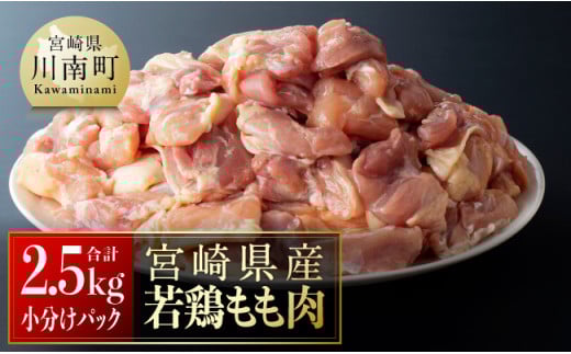 ※令和7年6月発送※【小分け】宮崎県産若鶏　もも肉2.5kg（250g×10袋） 【 肉 鶏肉 精肉 小分け 便利 若鶏 もも 九州産 宮崎県産 川南町 おうちごはん 送料無料 】