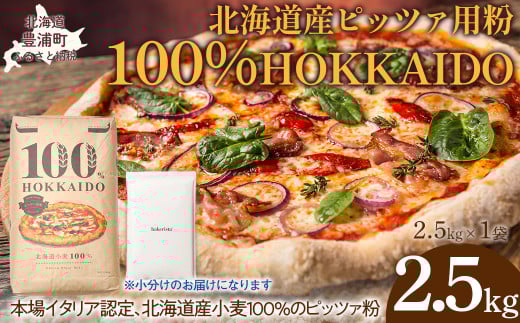 100% HOKKAIDO ピッツァ用粉 2.5kg 【 ふるさと納税 人気 おすすめ ランキング 小麦粉 パン ピザ ピッツァ 国産 北海道 HOKKAIDO 自宅用 江別製粉 北海道 豊浦町 送料無料 】 TYUAI022