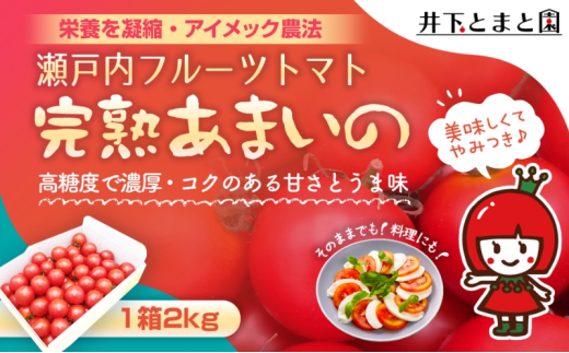 井下とまと園の完熟 フルーツトマト 約2kg 果物類 野菜 