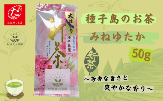 【たねがしまる4000】希少品種「みねゆたか」　新茶 緑茶　NFN943【100pt】