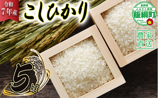 米 こしひかり 5kg ( 令和7年産 ) 沖縄県への配送不可 2025年10月上旬頃から順次発送予定 米澤商店 コシヒカリ 白米 精米 長野県 飯綱町 [1348] 301567 - 長野県飯綱町