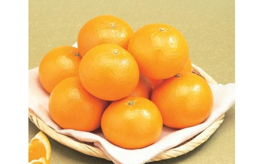 【先行予約】産地直送！愛媛県産清見タンゴール 5kg（2026年3月上旬より順次発送） 【 ふるさと納税 人気 おすすめ ランキング みかん ミカン 蜜柑 清見タンゴール フルーツ 果物 産地直送 ニュウズ 愛媛県産 愛媛県 伊方町 送料無料 】 IKTF022