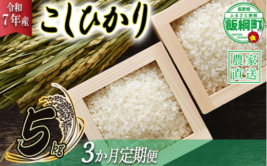 米 こしひかり 5kg × 3回 [ 3か月 定期便 ]( 令和7年産 ) 沖縄県への配送不可 2025年10月上旬頃から順次発送予定 米澤商店 コシヒカリ 白米 精米 長野県 飯綱町 [1349]