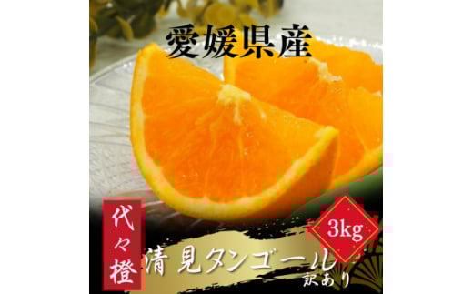 ＜トロッととろける果実＞＜訳あり＞清見タンゴール 3kg＜A83-32＞【1623456】