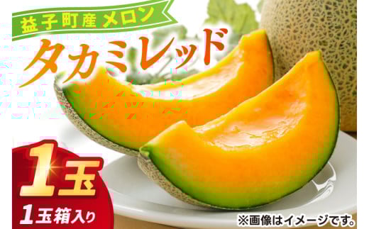 ＼果汁たっぷり／栃木県益子町産 タカミレッド 約1.5kg×1玉 (2025年6月発送予定) | ましこメロン 果物 くだもの フルーツ メロン 赤肉 赤肉メロン 旬 贈り物 ギフト 箱入り お取り寄せ 甘い 栃木県産 益子町産 (AA044)