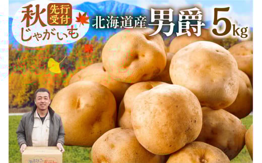 先行受付！ホクホク！しっとりなめらか！ 北海道産 男爵 いも じゃがいも 男爵いも 約5kg じゃがいも いも 芋 産地直送 秋_S041-0005
