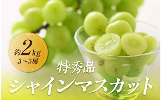 【2025年8月中旬より順次発送】極撰！シャインマスカット　約2kg(3～5房) 1569410 - 香川県高松市