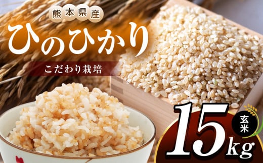 こだわり栽培 熊本県産 ひのひかり 玄米 約15kg | お米 米 こめ ごはん 玄米 熊本県 玉名市 2134418 - 熊本県玉名市