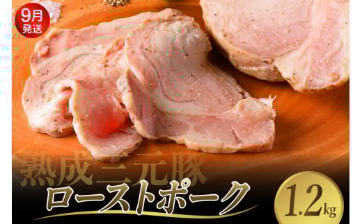 【2025年9月末まで発送】熟成三元豚プレミアムローストポーク 計1.2kg 豚肉 ブロック 肉 小分け パック 低温熟成 人気 おつまみ 惣菜 おかず サラダ ポークステーキ お祝い 誕生日 記念日 お取り寄せ グルメ 送料無料 広島県 呉市 2132050 - 広島県呉市