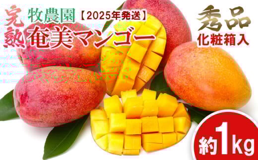 【2025年発送】牧農園の完熟奄美マンゴー 秀品 約1kg（化粧箱入） 鹿児島県 奄美群島 奄美大島 龍郷町 国産 奄美産 青果 果物 くだもの フルーツ 南国 トロピカル デザート スイーツ 濃厚 とろける 甘い 農家直送 秀品 1kg 806948 - 鹿児島県龍郷町