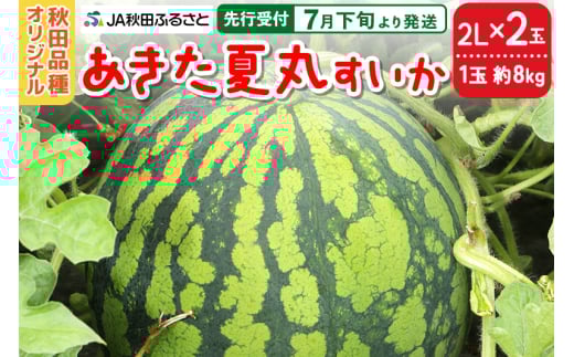 【先行受付】7月下旬より発送 秋田県横手市産 あきた夏丸すいか 2Lサイズ×2玉（1玉約8kg） 1021183 - 秋田県横手市