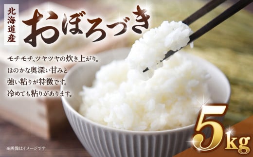 令和６年産　北海道産おぼろづき５kg【国産 白米 精米 お米 単一原料米 厳選 生活応援 おぼろづき おすすめ 北海道 美唄市】 2112529 - 北海道美唄市