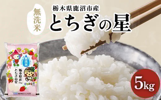 【令和6年産】【数量限定】栃木県鹿沼市産 とちぎの星 無洗米 5kg 令和6年産 令和7年産 水稲うるち精米 単一原料米 お米  特A 大粒 [№5840-2391]　※沖縄・離島への配送不可　※2025年7月下旬頃～10月上旬頃に順次発送予定