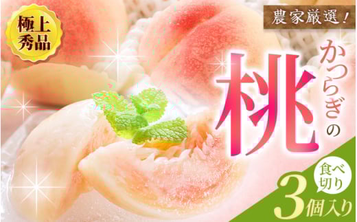 【先行予約】【厳選】あふれる果汁で口いっぱい！ 食べきりサイズ 和歌山県産 桃 3玉 2025年6月末頃～2025年8月末頃に順次発送予定（お届け日指定不可）/ 和歌山 桃 モモ フルーツ もも 白桃 果物 くだもの【kgr002】 2111945 - 和歌山県すさみ町