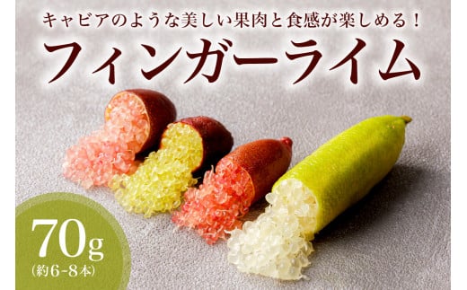 【先行受付】フィンガーライム　70g【 果物 果実 新時代フルーツ 国産 キャビアライム 森のキャビア フルーツキャビア ブッシュキャビア 希少 柑橘 カルパッチョ ローストビーフ アイス カクテル 炭酸 トッピング 】
