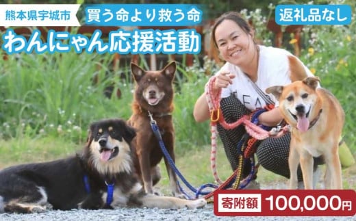 【返礼品なし】 動物支援 動物保護 保護犬 保護猫 犬猫支援 里親支援 寄付 支援 寄附金 愛護活動 ペット 犬 猫 動物 地域支援 買う命より救う命 熊本県 宇城市 わんにゃん応援活動 100,000円