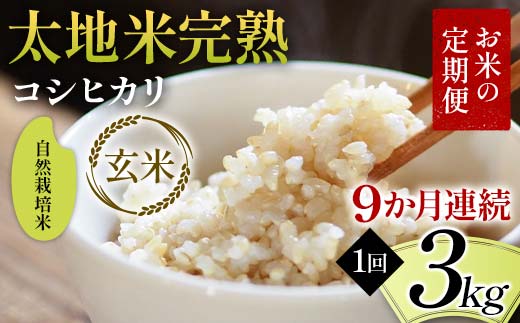 お米の定期便 自然栽培米 太地米完熟 【こしひかり】 玄米3kg×9か月連続 ブランド米 お米 人気 F7X-0442