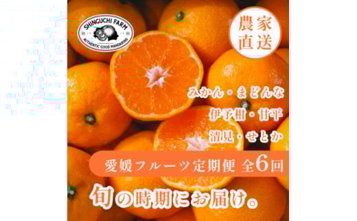 ＜発送月固定定期便＞愛媛の美味しい柑橘 人気6品種 まどんな・甘平・せとか等＜H70-41＞全6回【4055158】 1448193 - 愛媛県八幡浜市
