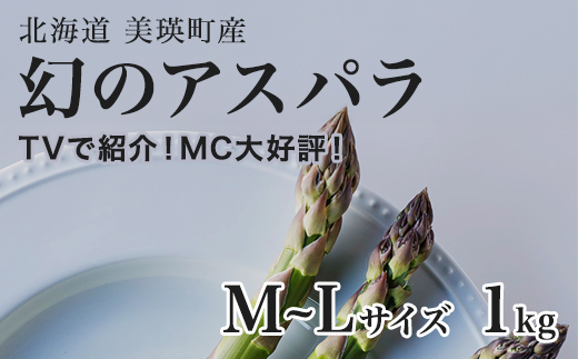 【先行予約】 幻のアスパラ M～Lサイズ 1kg ラスノーブル <令和7年産 > 北海道 美瑛町 本山農場 グリーンアスパラ  | グリーン アスパラガス アスパラ あすぱら あすぱらがす 採れたて 新鮮 旬 産地直送 野菜[011-55]