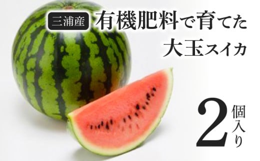 有機肥料で育てた大玉スイカ[赤い彗星](2個入り)