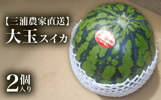 [三浦農家直送]大玉スイカ(2個入り)