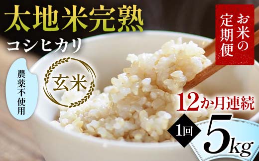 お米の定期便 農薬不使用米 太地米完熟 【こしひかり】 玄米5kg×12か月連続 ブランド米 お米 人気 F7X-0419