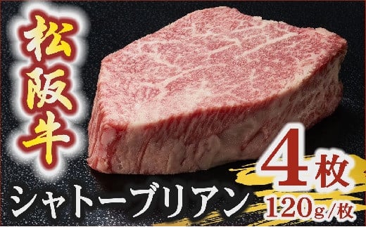 松阪牛 A5 シャトーブリアンステーキ 480g（120g×4枚）　( 牛肉 ブランド牛 高級 和牛 国産牛 松阪牛 松坂牛 ステーキ ヒレ シャトーブリアン 牛肉 ステーキ 松阪牛 牛肉 ステーキ シャトーブリアン 松阪牛 ステーキ 冷凍 人気 おすすめ ランキング 三重県 松阪市 松阪牛 シャトーブリアン )【9.6-1】
